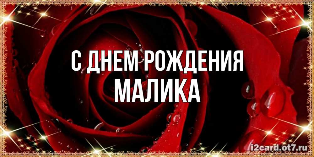 Открытка на каждый день с именем, МАЛИКА С днем рождения цветок в росе на день рождения Прикольная открытка с пожеланием онлайн скачать бесплатно 