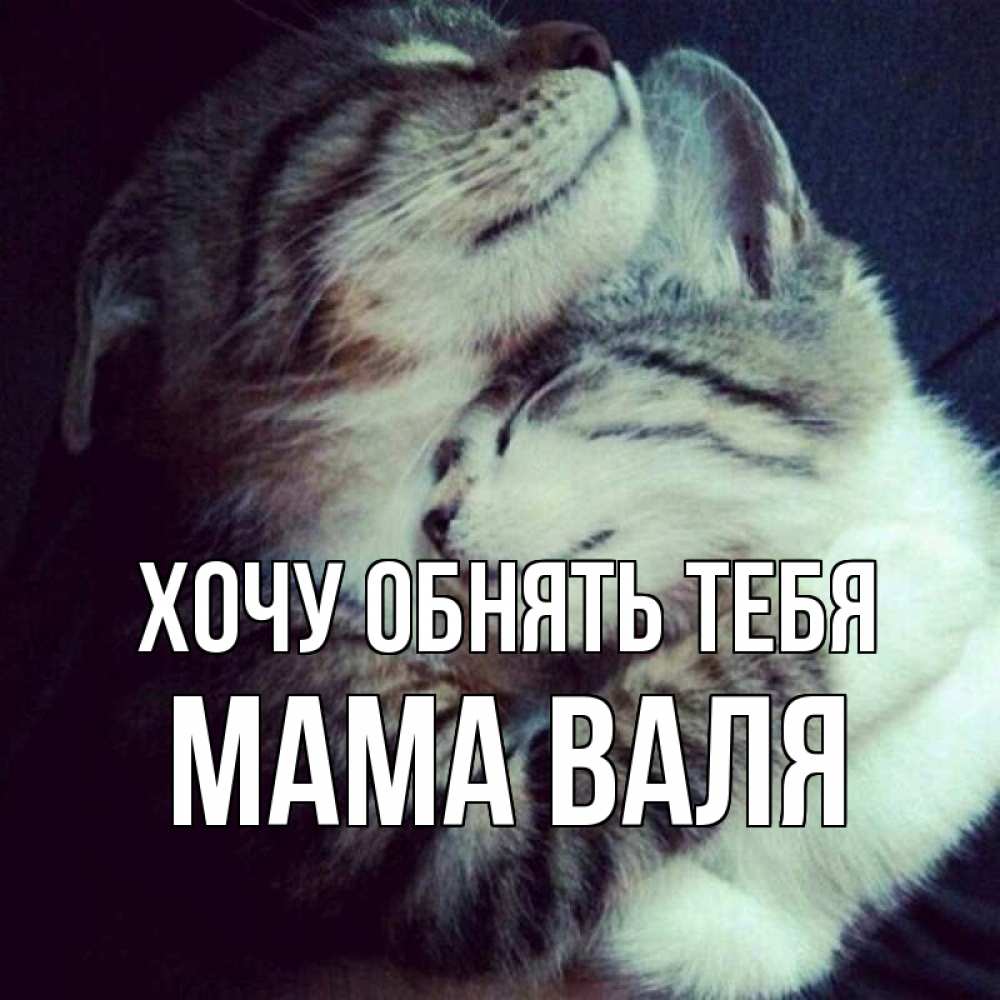 Открытка на каждый день с именем, Мама-Валя Хочу обнять тебя полосатики Прикольная открытка с пожеланием онлайн скачать бесплатно 