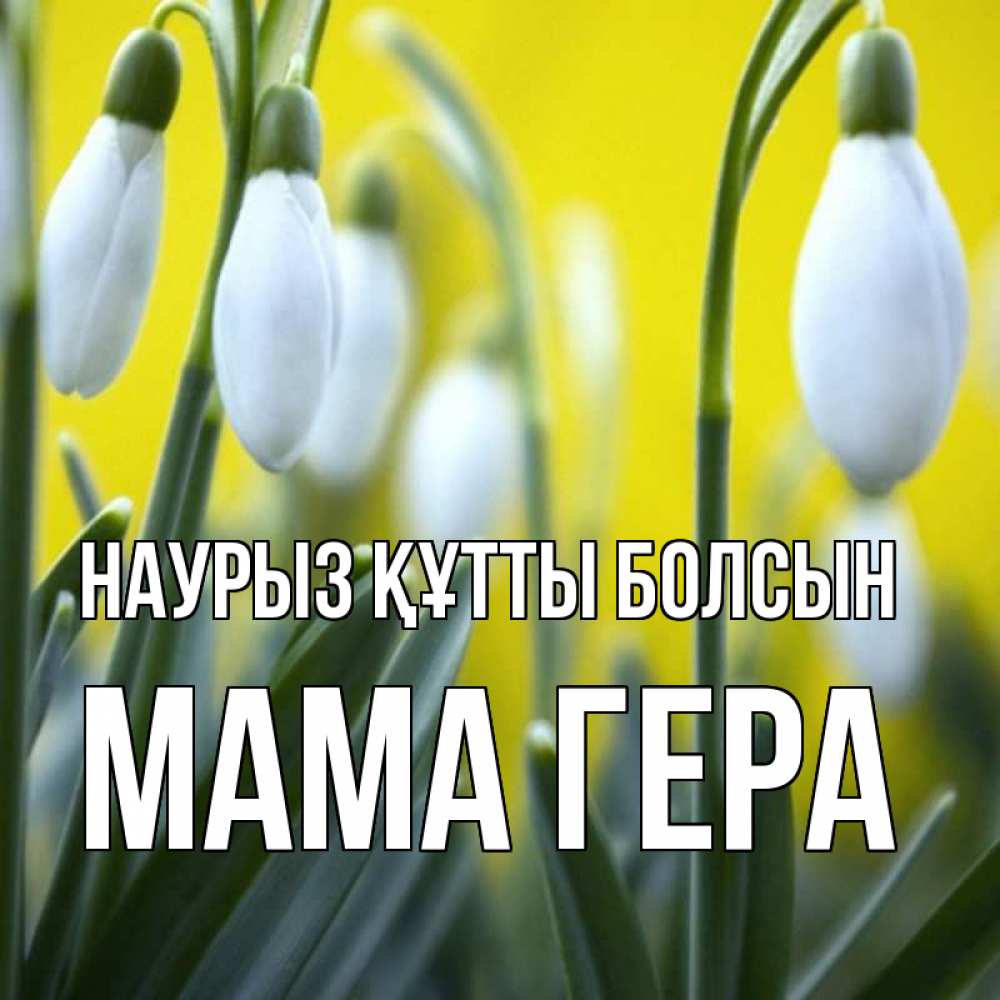 Открытка на каждый день с именем, Мама-Гера Наурыз құтты болсын весенние цветы Прикольная открытка с пожеланием онлайн скачать бесплатно 