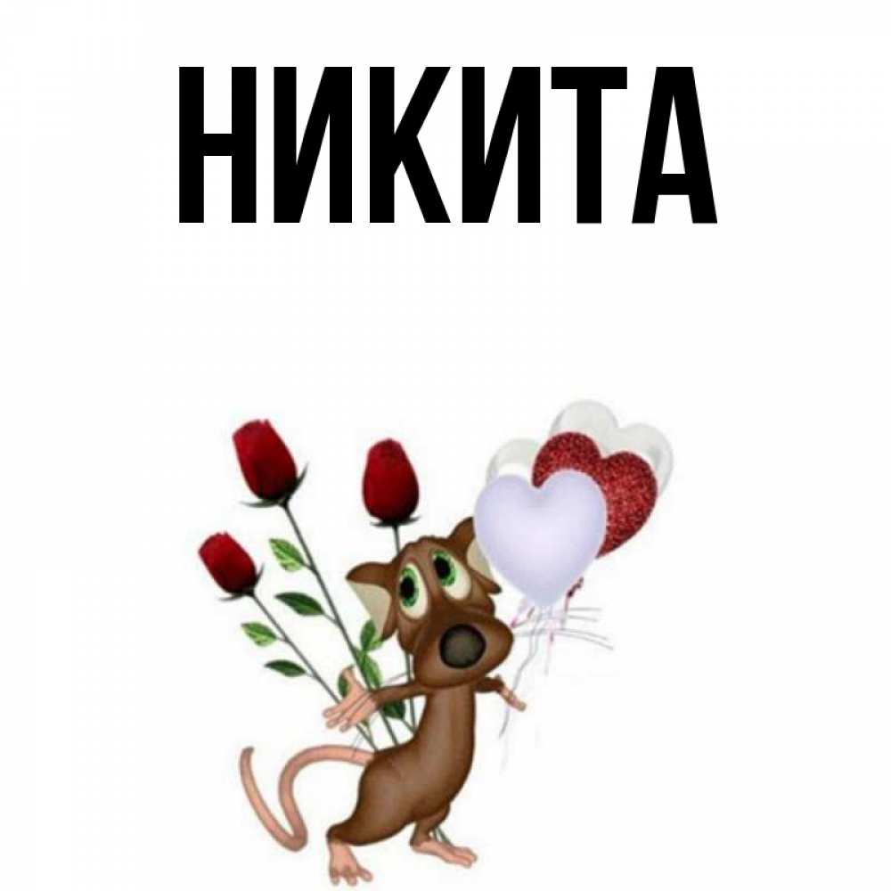 Никита Открытка