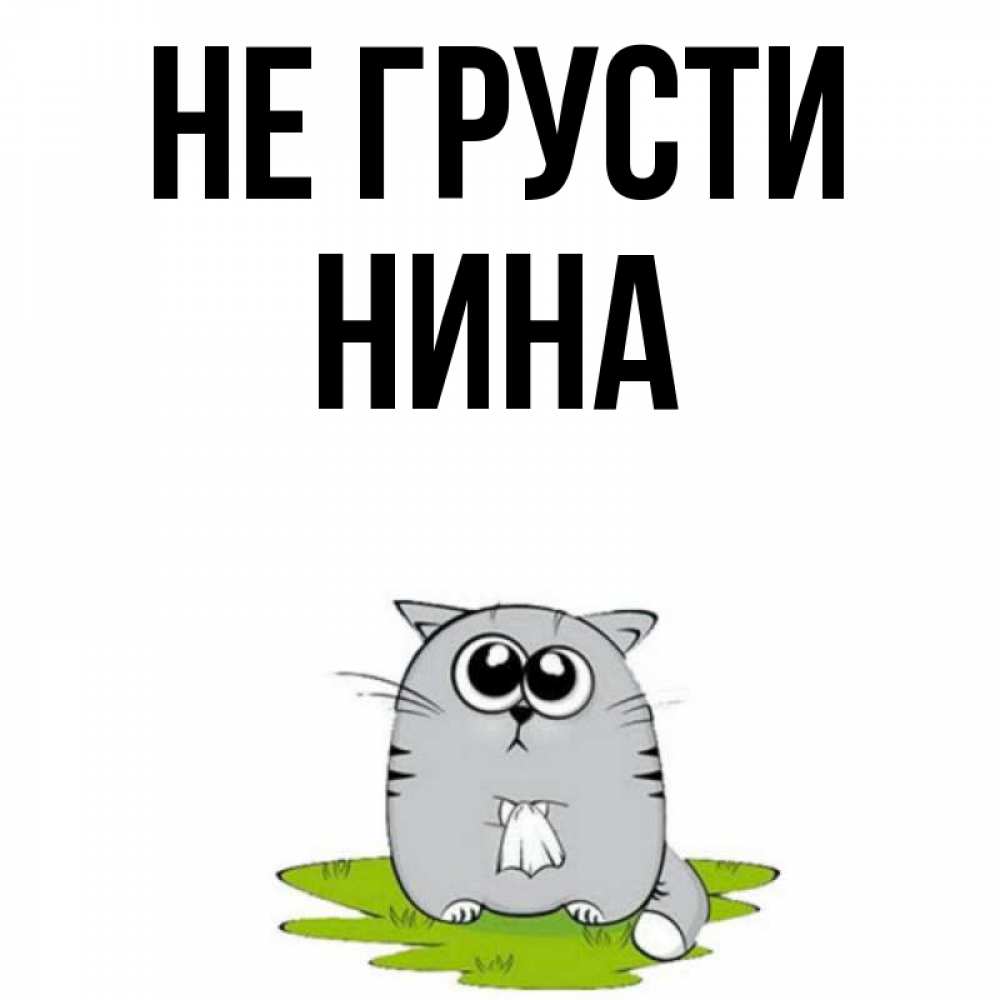 Открытка на каждый день с именем, Нина Не грусти грустный котяра Прикольная открытка с пожеланием онлайн скачать бесплатно 
