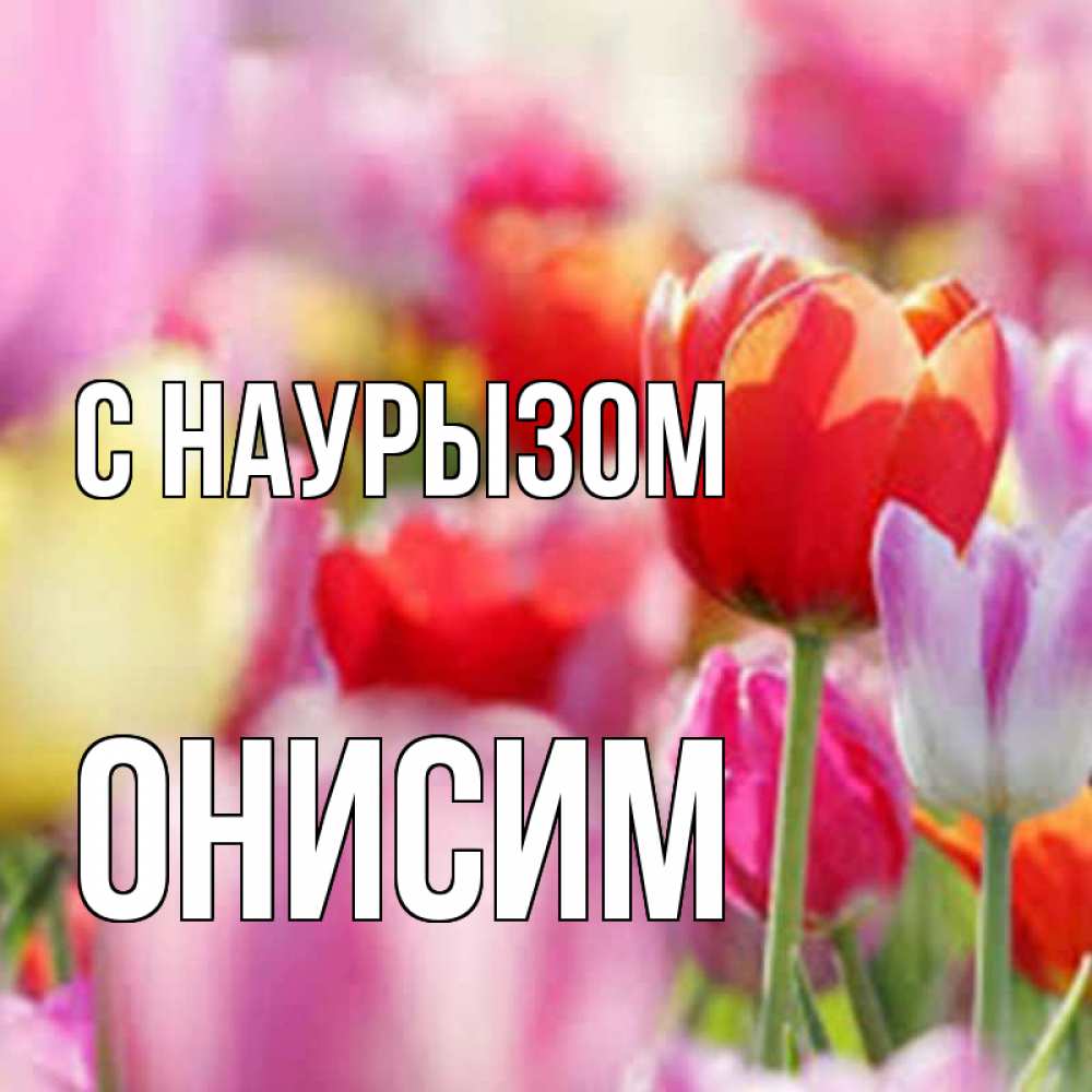 Открытка на каждый день с именем, Онисим С наурызом праздник весны наурыз 67 Прикольная открытка с пожеланием онлайн скачать бесплатно 