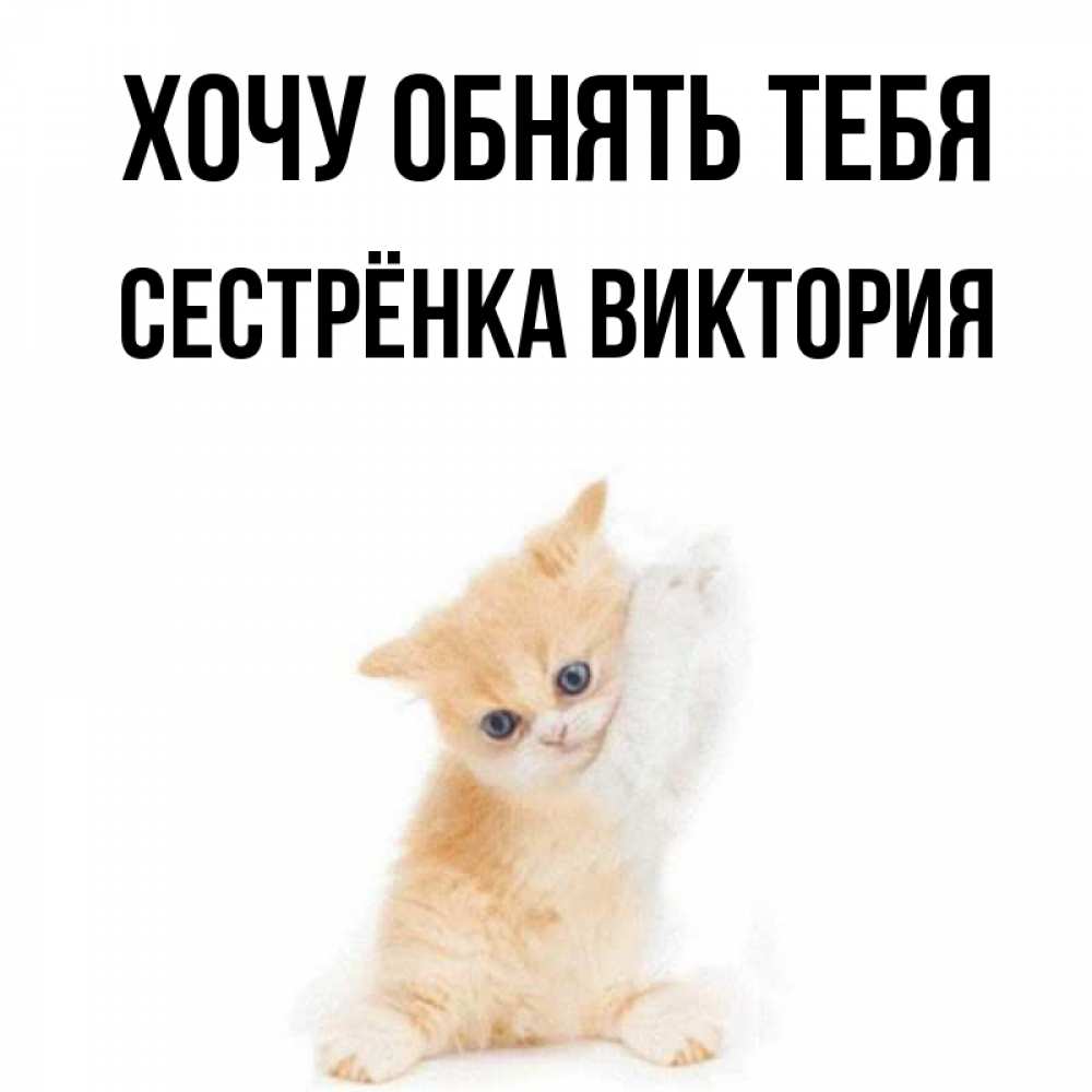 Открытка на каждый день с именем, Сестрёнка-Виктория Хочу обнять тебя я хочу очень скорее обнимаешек Прикольная открытка с пожеланием онлайн скачать бесплатно 