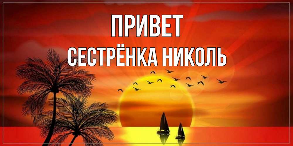 Открытка на каждый день с именем, Сестрёнка-Николь Привет привет Прикольная открытка с пожеланием онлайн скачать бесплатно 