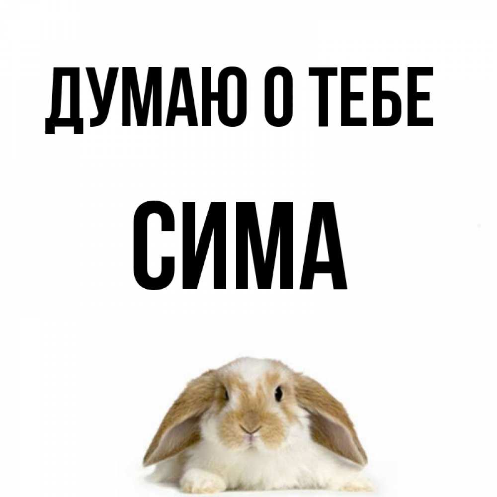Открытка на каждый день с именем, Сима Думаю о тебе подписать своими руками онлайн Прикольная открытка с пожеланием онлайн скачать бесплатно 