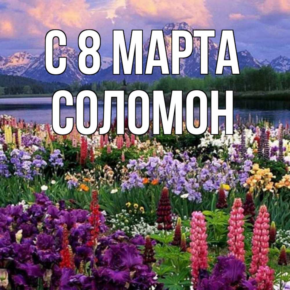 Открытка на каждый день с именем, Соломон С 8 МАРТА международный женский день Прикольная открытка с пожеланием онлайн скачать бесплатно 