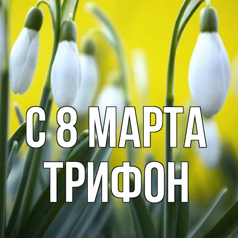 Открытка на каждый день с именем, Трифон С 8 МАРТА весенние цветы Прикольная открытка с пожеланием онлайн скачать бесплатно 
