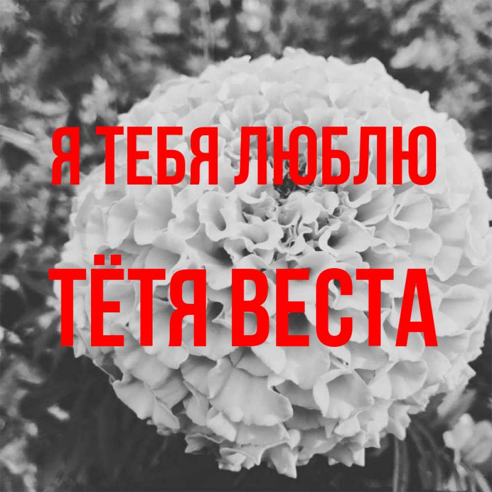 Открытка на каждый день с именем, Тётя-Веста Я тебя люблю подпись Прикольная открытка с пожеланием онлайн скачать бесплатно 