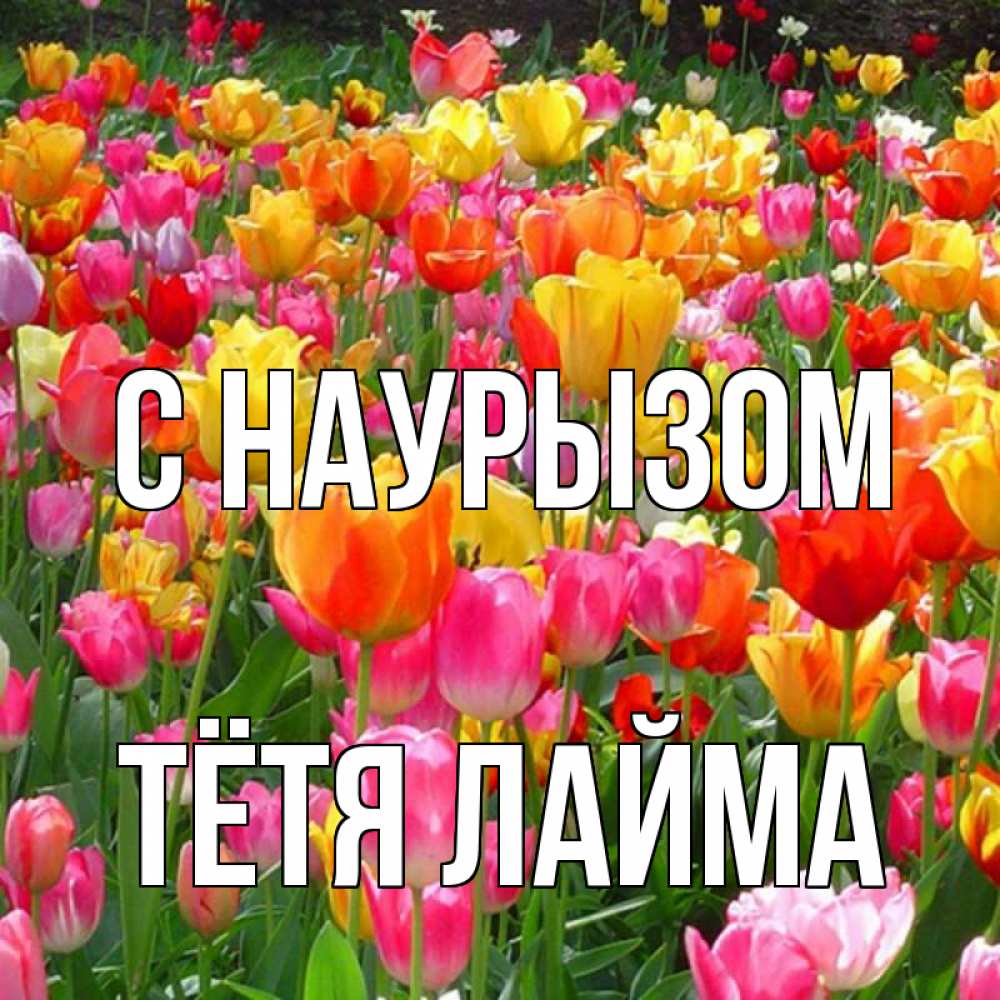 Открытка на каждый день с именем, Тётя-Лайма С наурызом праздник весны наурыз 4 Прикольная открытка с пожеланием онлайн скачать бесплатно 