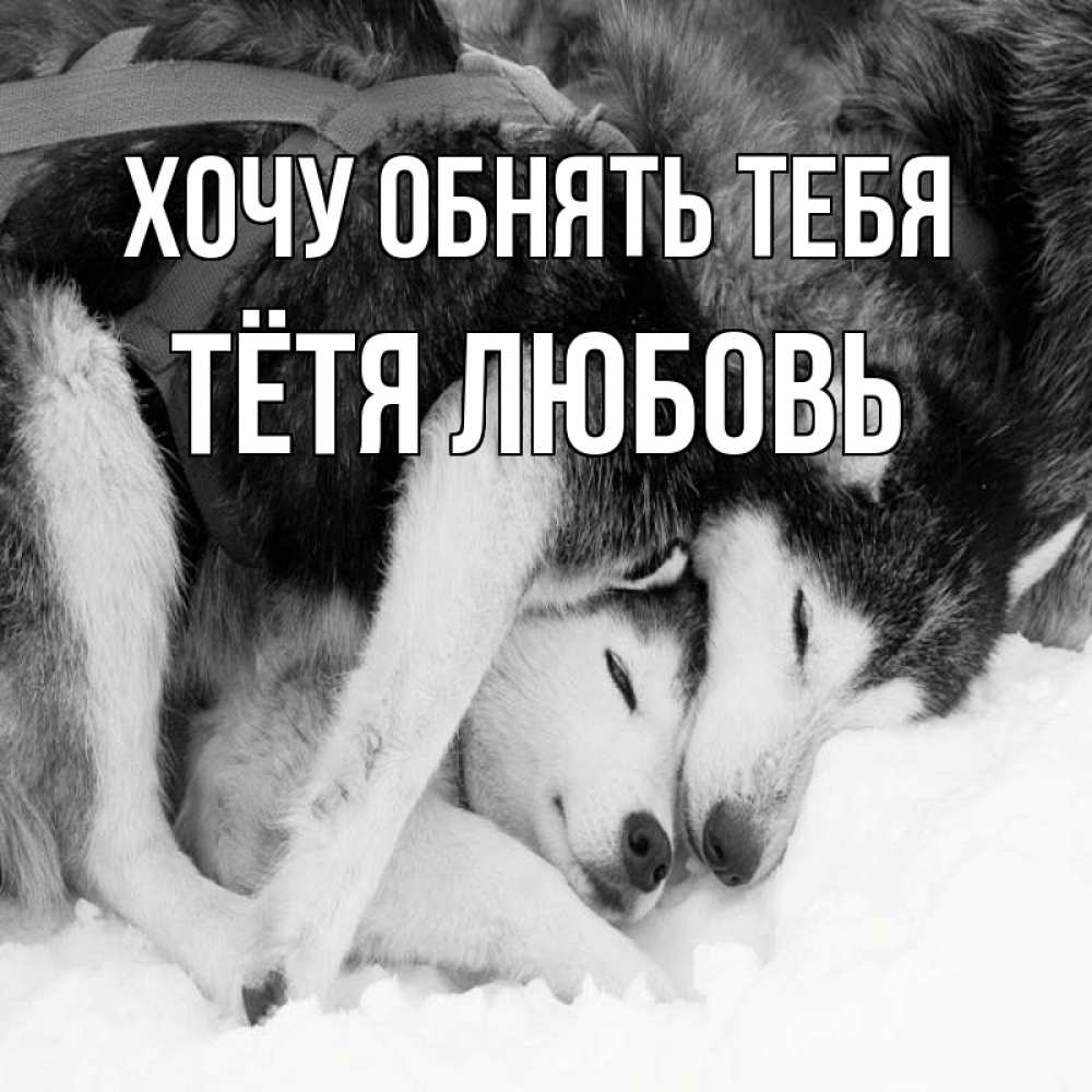 Открытка на каждый день с именем, Тётя-Любовь Хочу обнять тебя собачки в упряжке Прикольная открытка с пожеланием онлайн скачать бесплатно 