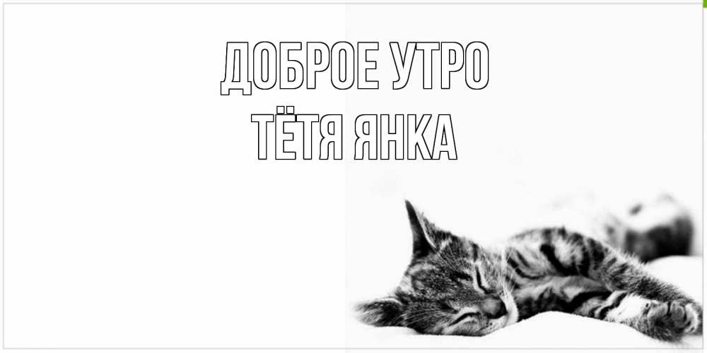 Открытка на каждый день с именем, Тётя-Янка Доброе утро котуся Прикольная открытка с пожеланием онлайн скачать бесплатно 