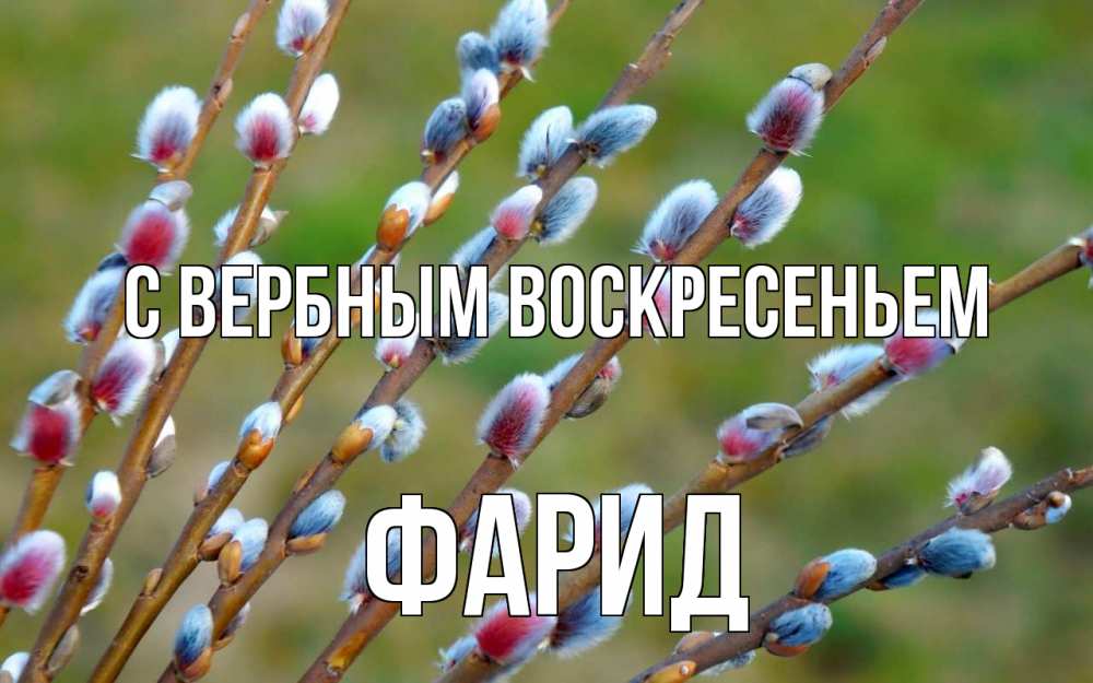 Открытка на каждый день с именем, Фарид С вербным воскресеньем верба Прикольная открытка с пожеланием онлайн скачать бесплатно 