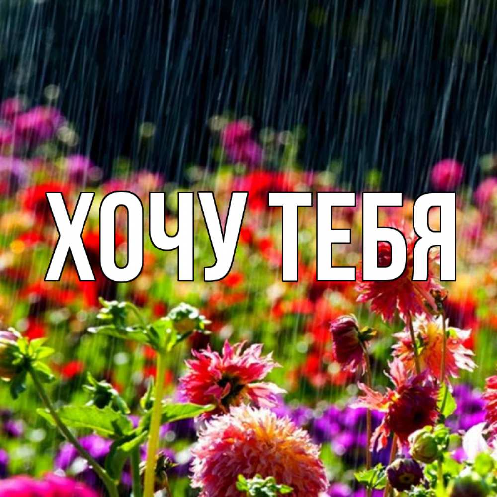 Открытка на каждый день с именем, Хочу-тебя Главная цветы под дождиком к международному женскому дню Прикольная открытка с пожеланием онлайн скачать бесплатно 