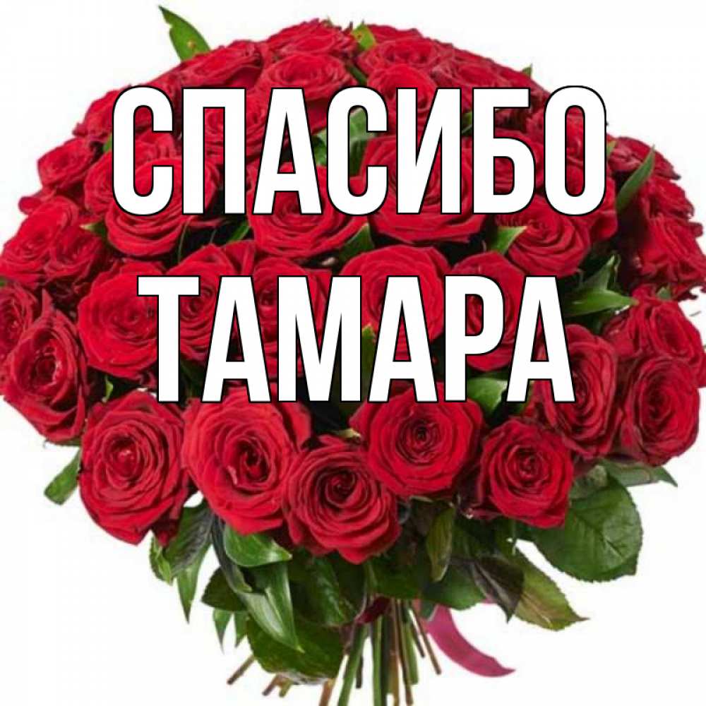 
Картинки Тамара