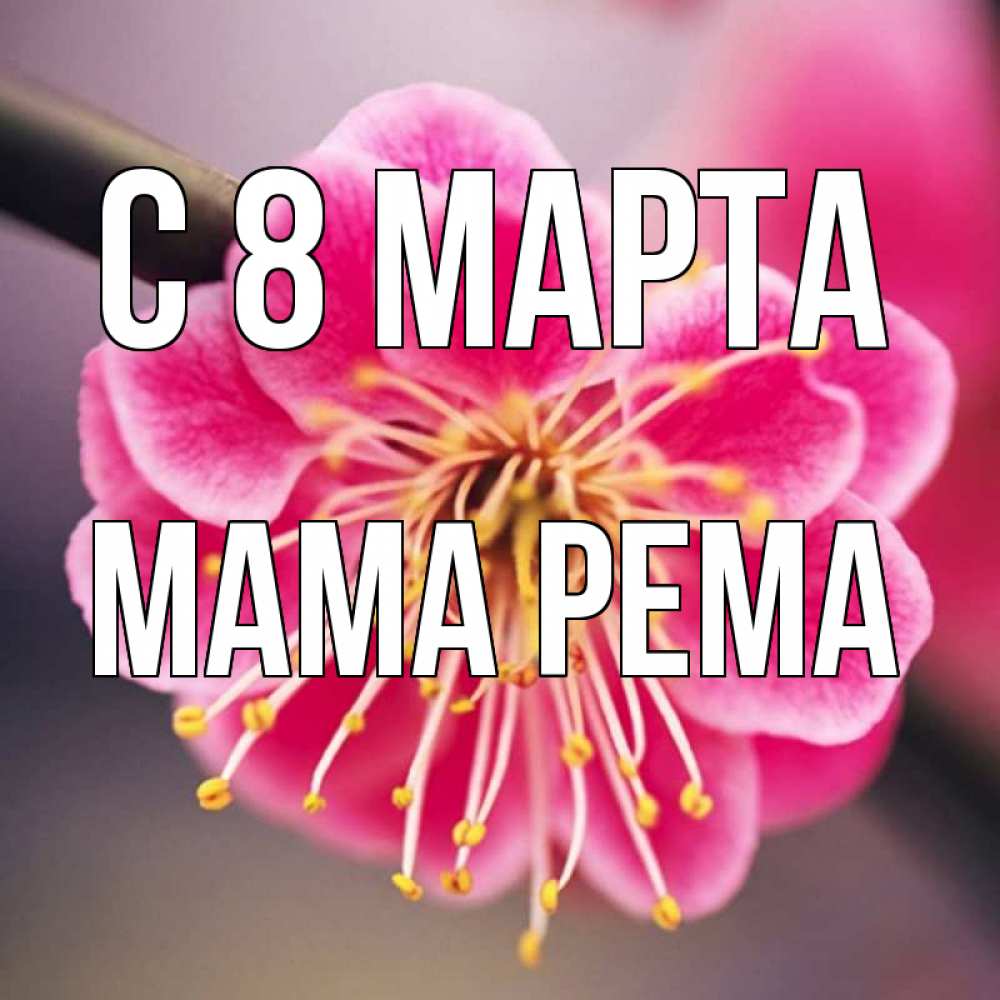 Открытка на каждый день с именем, Мама-Рема С 8 МАРТА цветы Прикольная открытка с пожеланием онлайн скачать бесплатно 