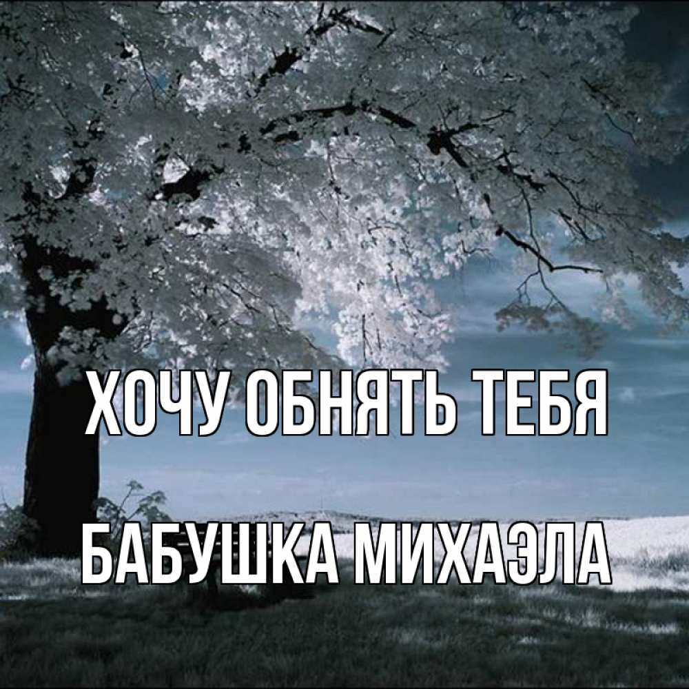 Открытка на каждый день с именем, Бабушка-Михаэла Хочу обнять тебя дерево Прикольная открытка с пожеланием онлайн скачать бесплатно 