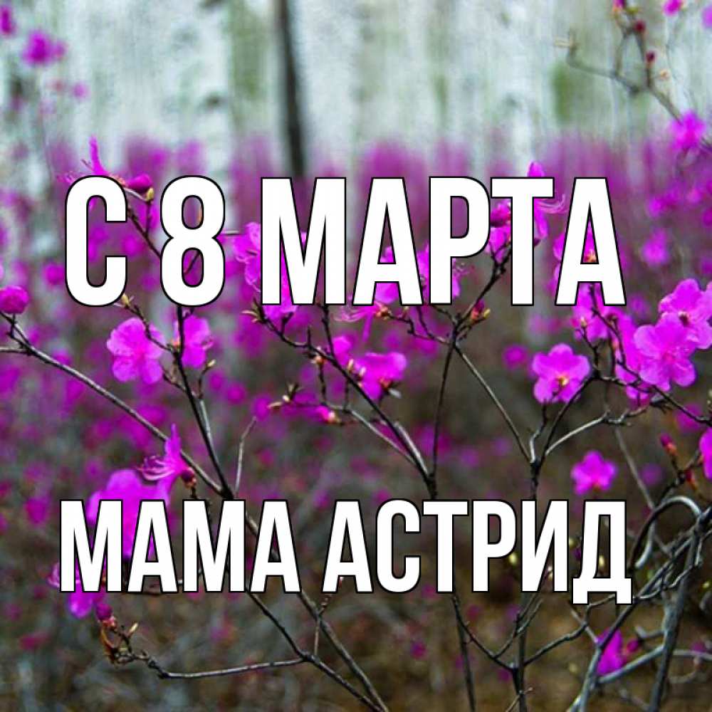 Открытка на каждый день с именем, Мама-Астрид С 8 марта дикие цветы Прикольная открытка с пожеланием онлайн скачать бесплатно 