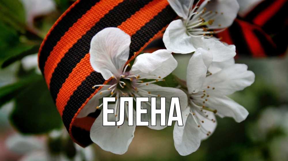 Открытка на каждый день с именем, Елена Главная 23 февраля Прикольная открытка с пожеланием онлайн скачать бесплатно 