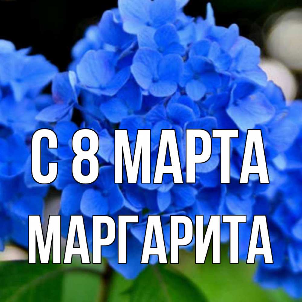 Картинка С 8 МАРТА, Маргарита