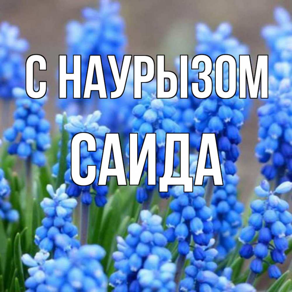 Открытка на каждый день с именем, Саида С наурызом Поздравительная открытка для женщин с цветами на праздничную дату Прикольная открытка с пожеланием онлайн скачать бесплатно 