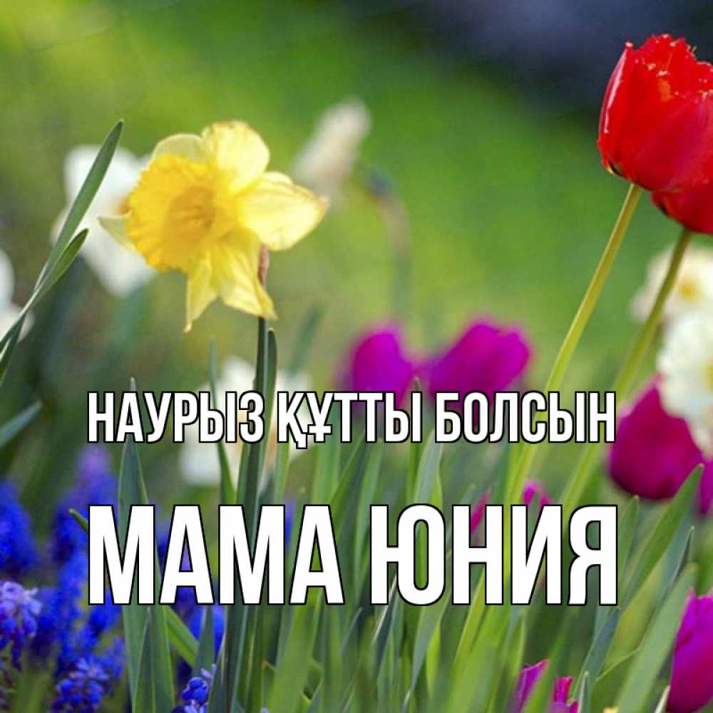 Открытка на каждый день с именем, Мама-Юния Наурыз құтты болсын наурыз  3 открытки Прикольная открытка с пожеланием онлайн скачать бесплатно 