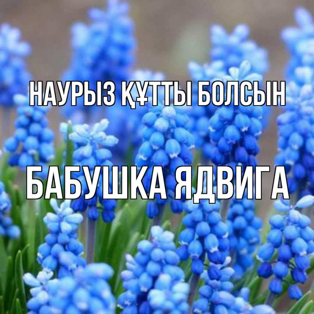 Открытка на каждый день с именем, Бабушка-Ядвига Наурыз құтты болсын Поздравительная открытка для женщин с цветами на праздничную дату Прикольная открытка с пожеланием онлайн скачать бесплатно 