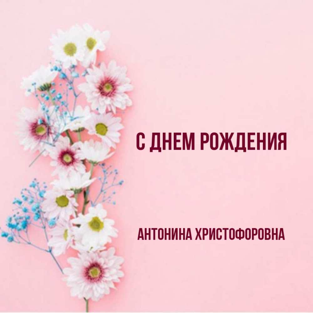 С днем рождения антонина картинки красивые