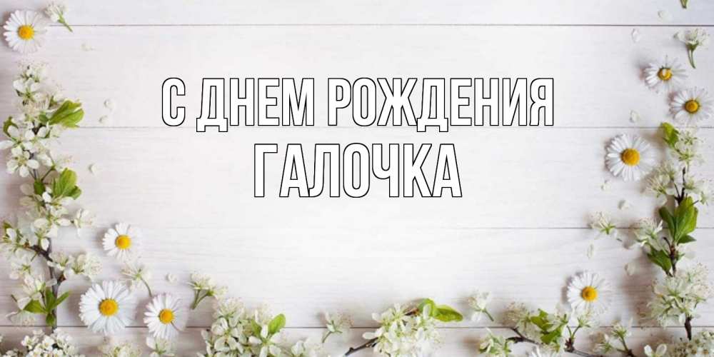 Открытка на каждый день с именем, ГАЛОЧКА С днем рождения Воздушные шары Прикольная открытка с пожеланием онлайн скачать бесплатно 