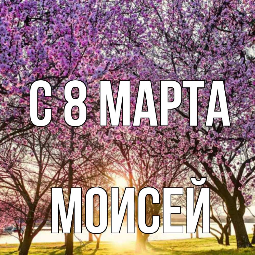 Открытка на каждый день с именем, Моисей С 8 МАРТА международный женский день Прикольная открытка с пожеланием онлайн скачать бесплатно 