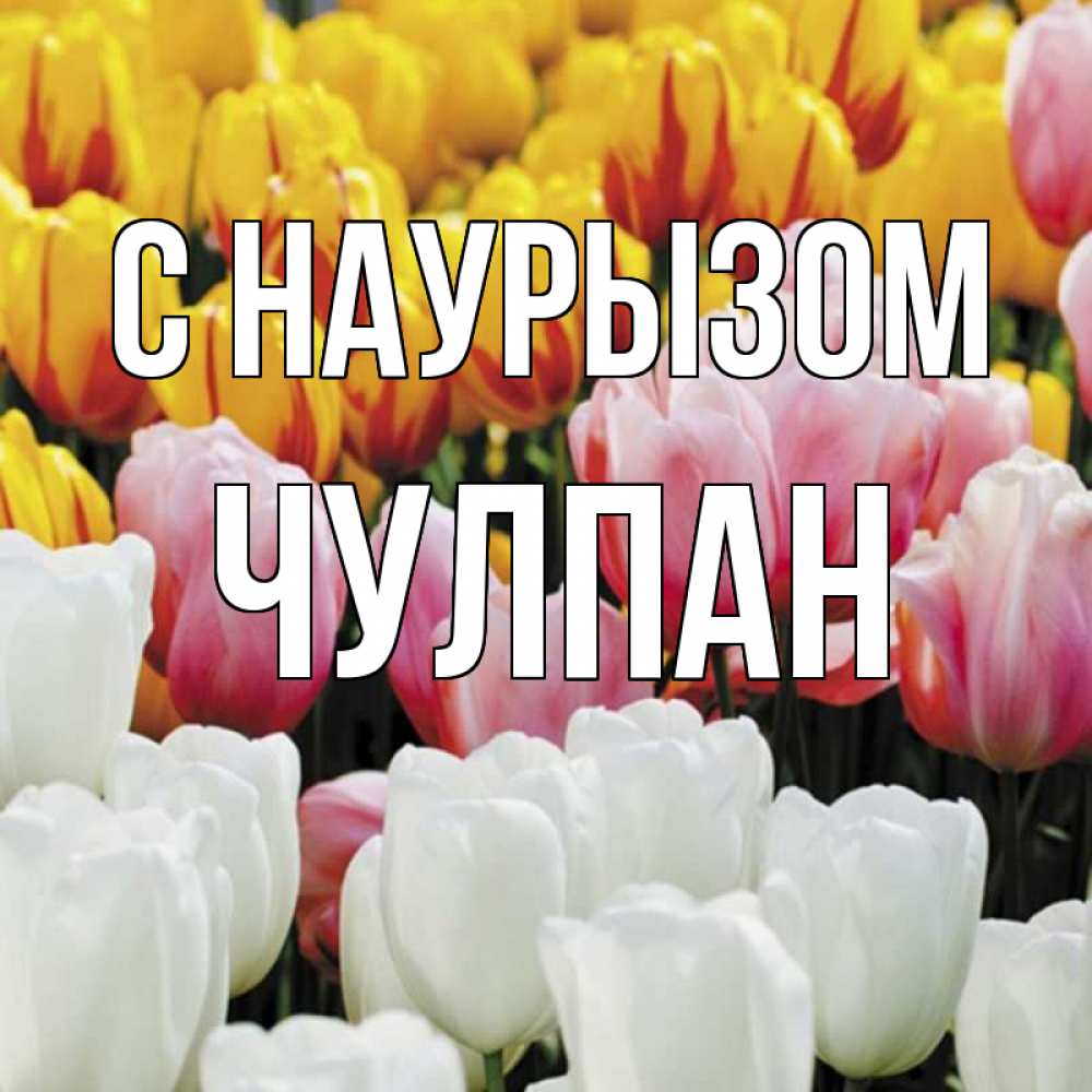 Открытка на каждый день с именем, Чулпан С наурызом разноцветные цветы Прикольная открытка с пожеланием онлайн скачать бесплатно 