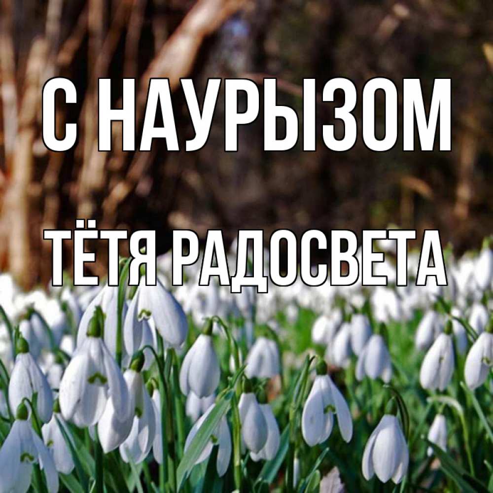 Открытка на каждый день с именем, Тётя-Радосвета С наурызом с подснежниками 1 Прикольная открытка с пожеланием онлайн скачать бесплатно 