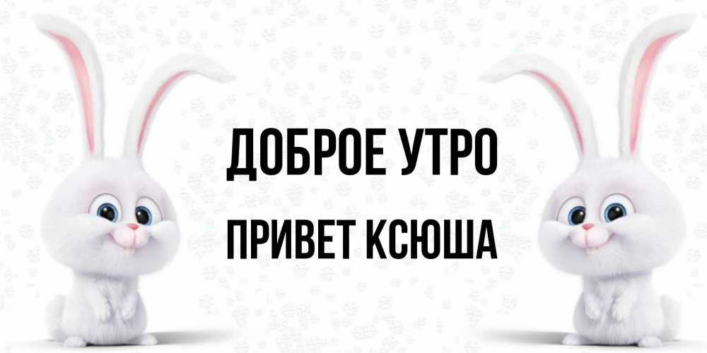 Ксюша добрая. Доброго утречка Ксюша. Привет Ксюша. Привет Ксюша картинки прикольные. Ксюша привет доброго дня открытки.