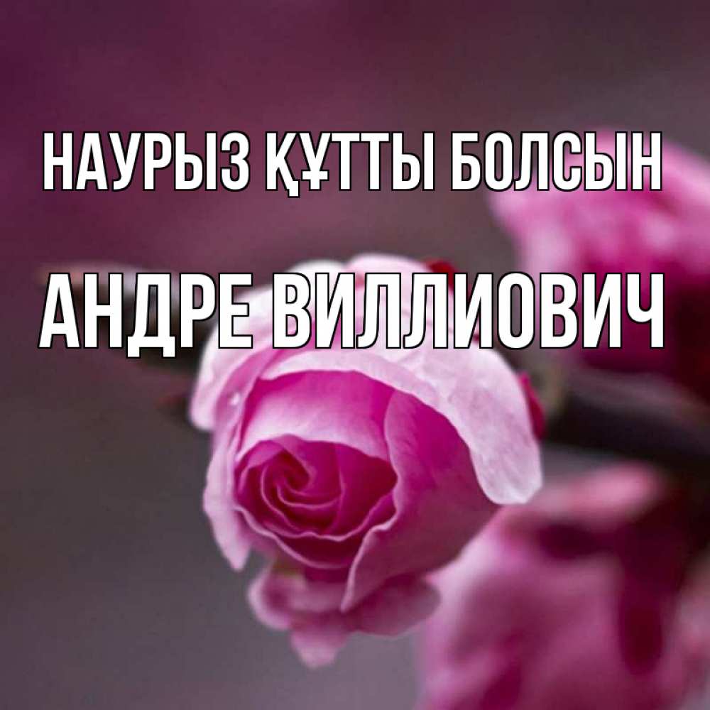 Открытка на каждый день с именем, Андре-Виллиович Наурыз құтты болсын весна Прикольная открытка с пожеланием онлайн скачать бесплатно 
