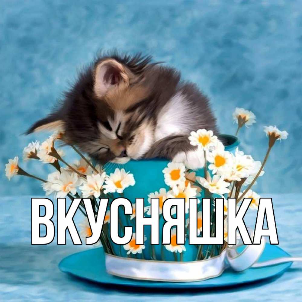 Открытка на каждый день с именем, Вкусняшка Главная котенок спит в кружке с блюдцем Прикольная открытка с пожеланием онлайн скачать бесплатно 