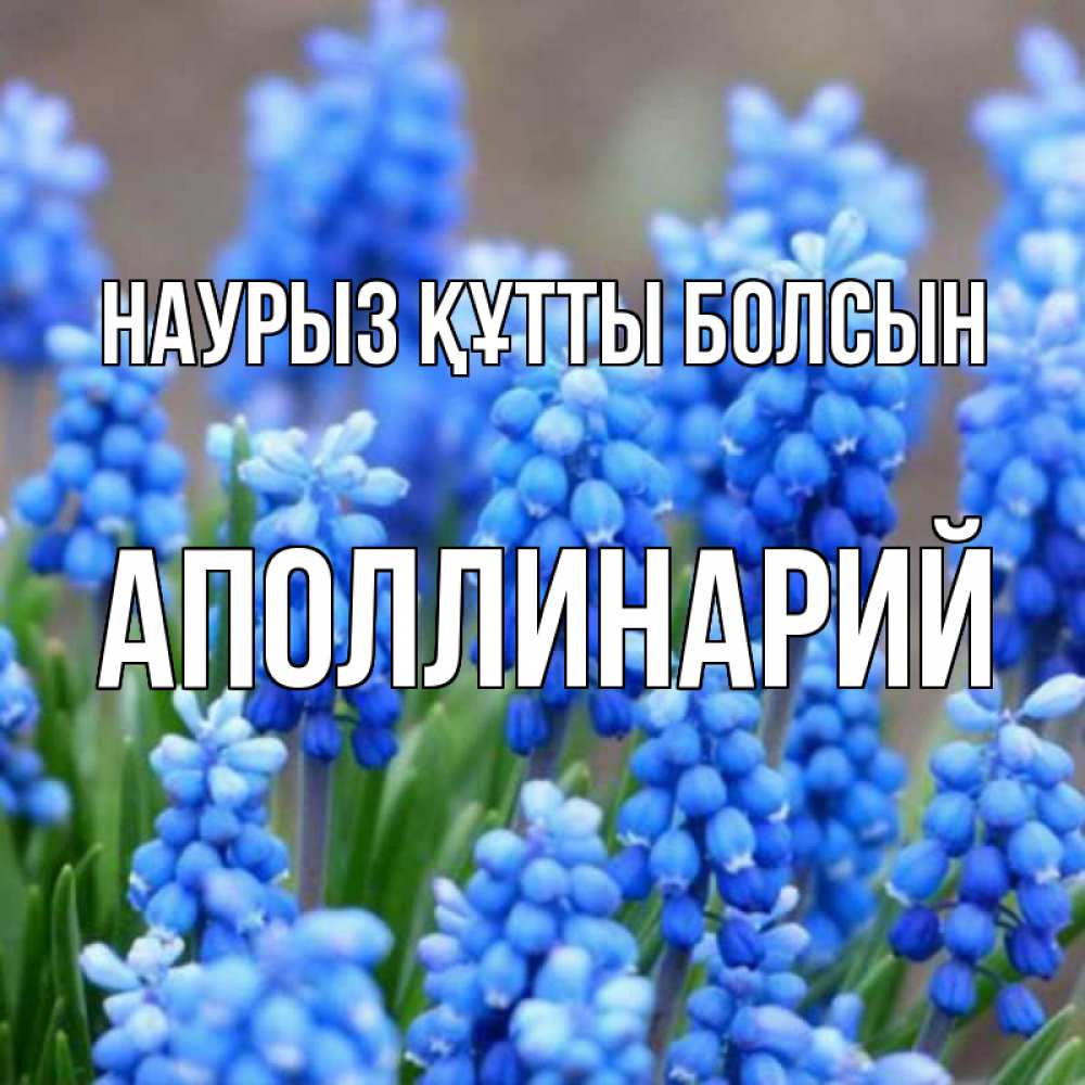 Открытка на каждый день с именем, Аполлинарий Наурыз құтты болсын Поздравительная открытка для женщин с цветами на праздничную дату Прикольная открытка с пожеланием онлайн скачать бесплатно 