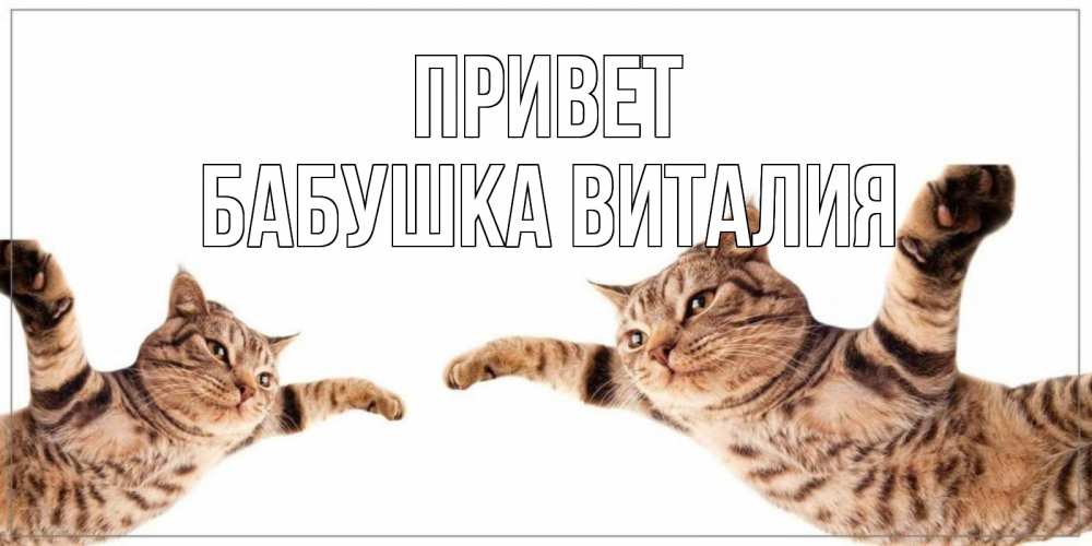 Открытка на каждый день с именем, Бабушка-Виталия Привет кот Прикольная открытка с пожеланием онлайн скачать бесплатно 