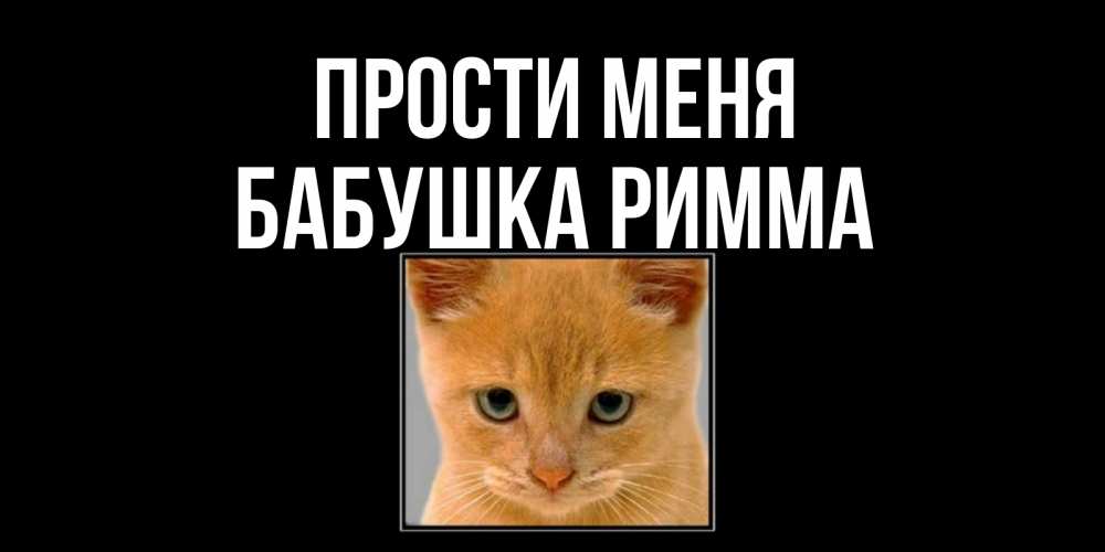 Открытка на каждый день с именем, Бабушка-Римма Прости меня рыжий грустный кот просит прощения Прикольная открытка с пожеланием онлайн скачать бесплатно 