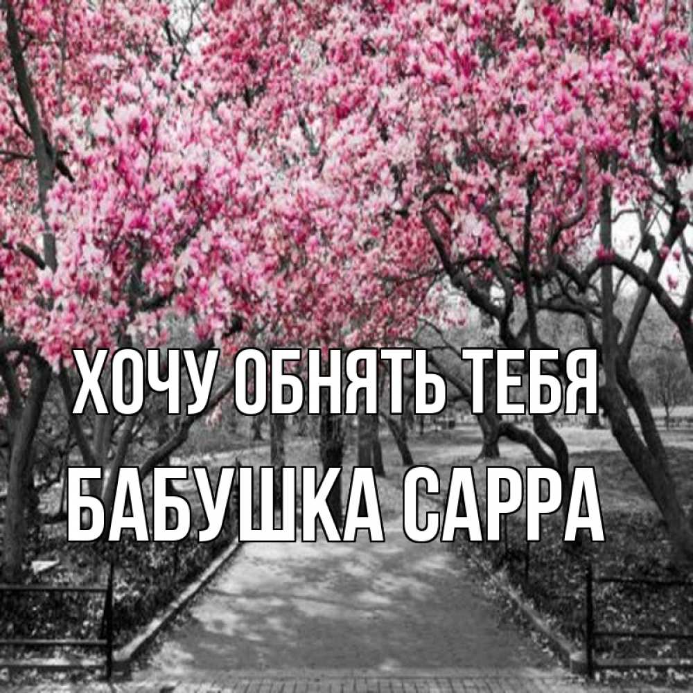 Открытка на каждый день с именем, Бабушка-Сарра Хочу обнять тебя обработанное фото Прикольная открытка с пожеланием онлайн скачать бесплатно 