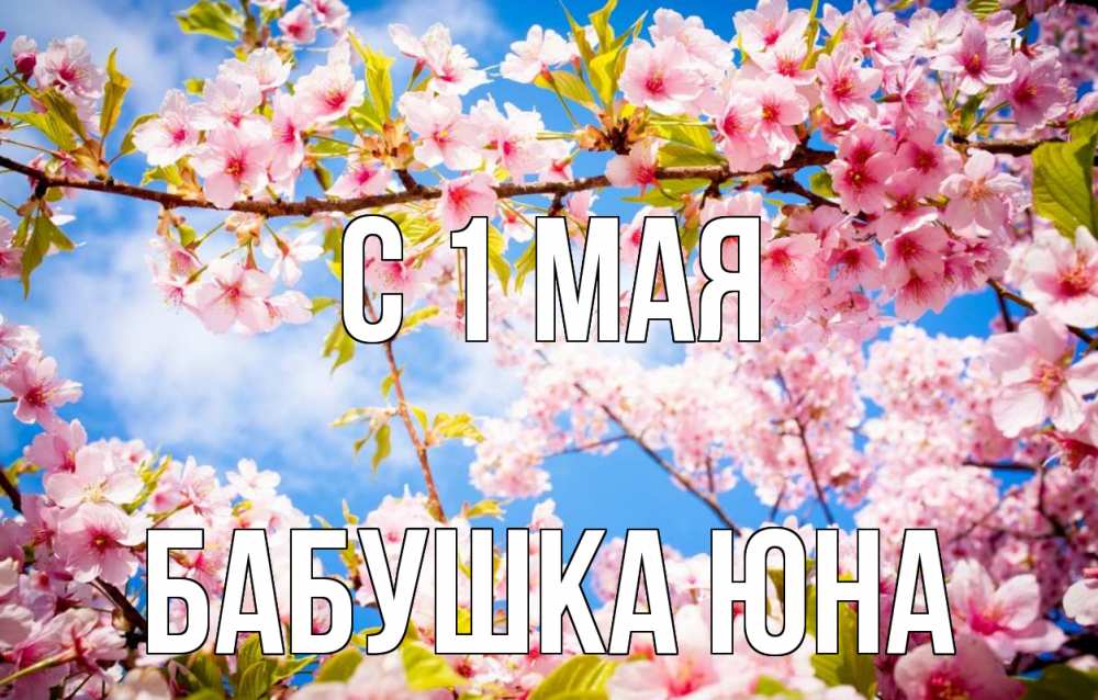 Открытка на каждый день с именем, Бабушка-Юна С 1 мая С 1 мая Прикольная открытка с пожеланием онлайн скачать бесплатно 