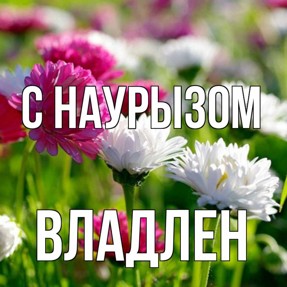 Открытка на каждый день с именем, Владлен С наурызом праздник весны наурыз красота Прикольная открытка с пожеланием онлайн скачать бесплатно 