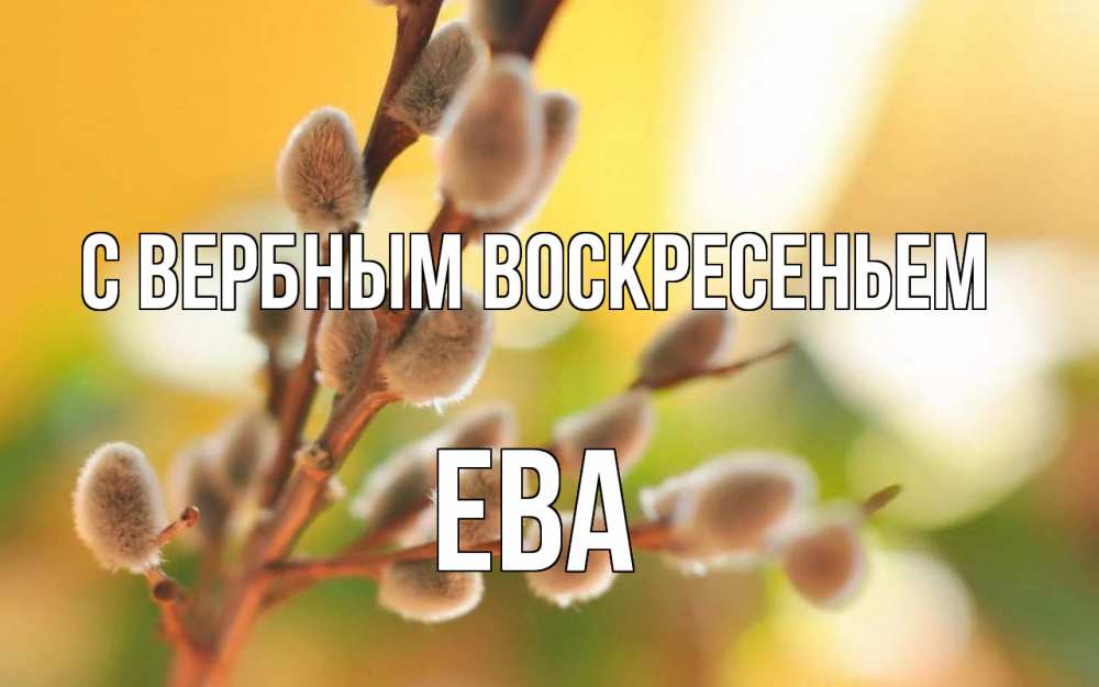 Открытка на каждый день с именем, Ева С вербным воскресеньем верба Прикольная открытка с пожеланием онлайн скачать бесплатно 