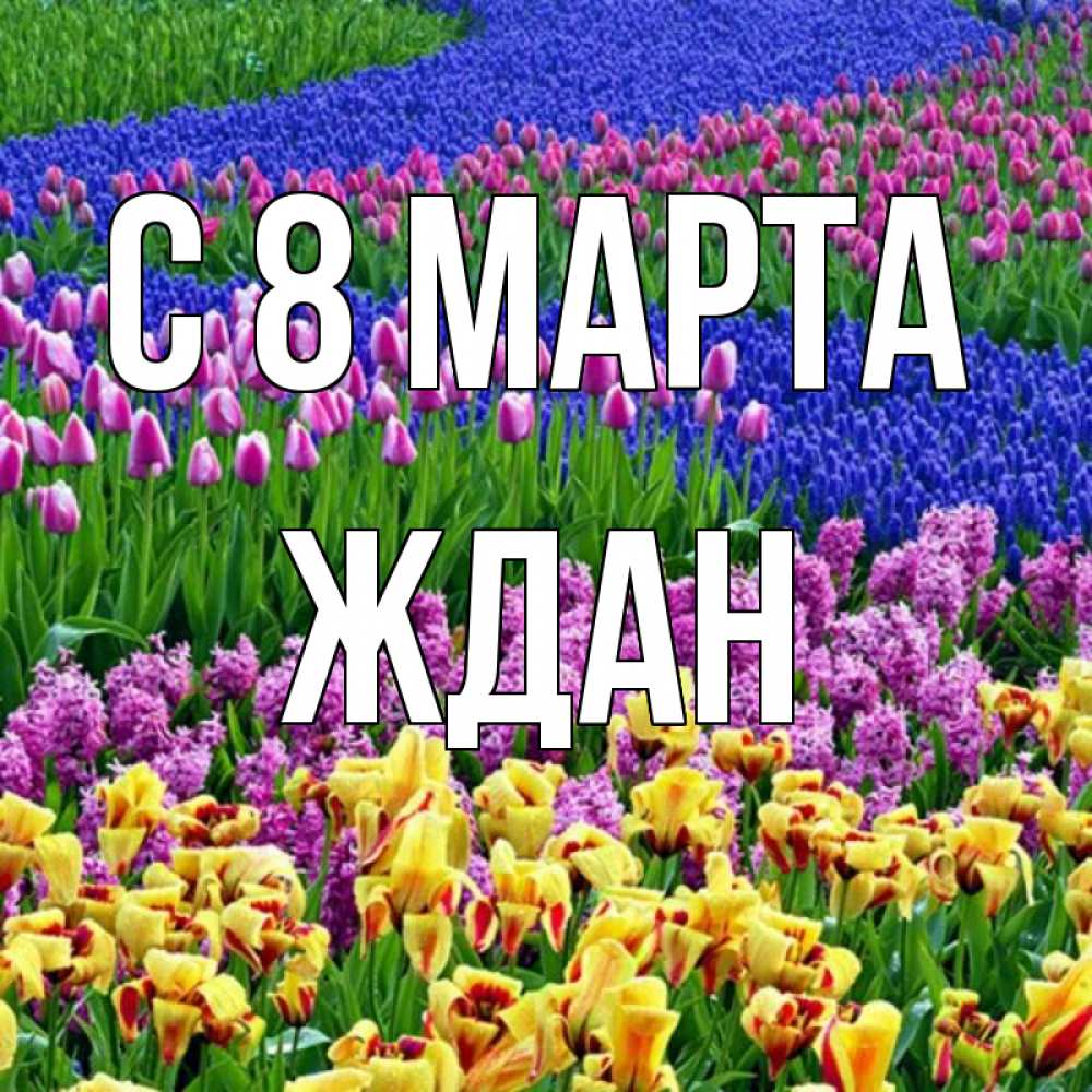 Открытка на каждый день с именем, Ждан С 8 МАРТА цветы Прикольная открытка с пожеланием онлайн скачать бесплатно 