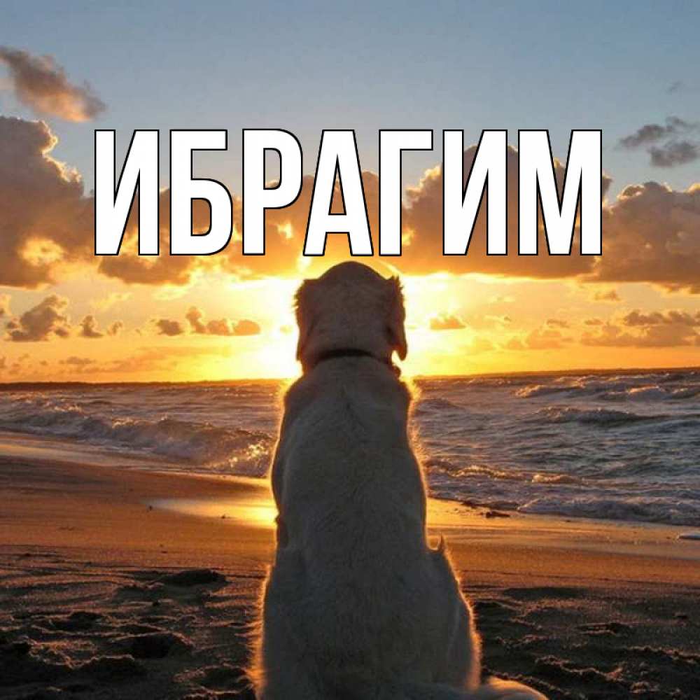 Открытка на каждый день с именем, Ибрагим Главная восход солнца Прикольная открытка с пожеланием онлайн скачать бесплатно 