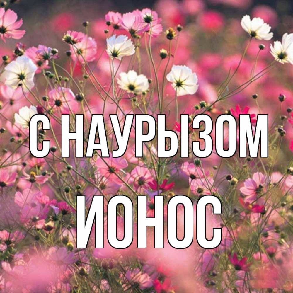 Открытка на каждый день с именем, Ионос С наурызом красиво 1 Прикольная открытка с пожеланием онлайн скачать бесплатно 