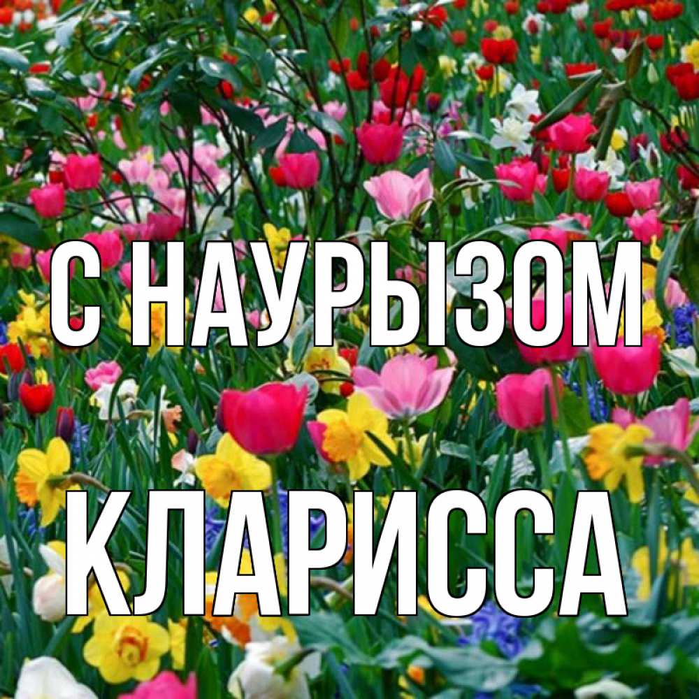Открытка на каждый день с именем, Кларисса С наурызом с наурызом праздником весны поздравления для женщины Прикольная открытка с пожеланием онлайн скачать бесплатно 
