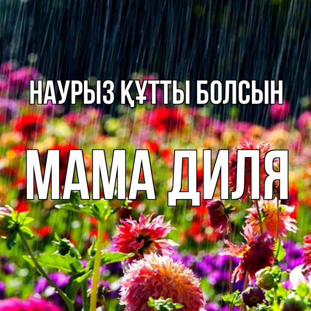 Открытка на каждый день с именем, Мама-Диля Наурыз құтты болсын цветы под дождиком к наурызу Прикольная открытка с пожеланием онлайн скачать бесплатно 