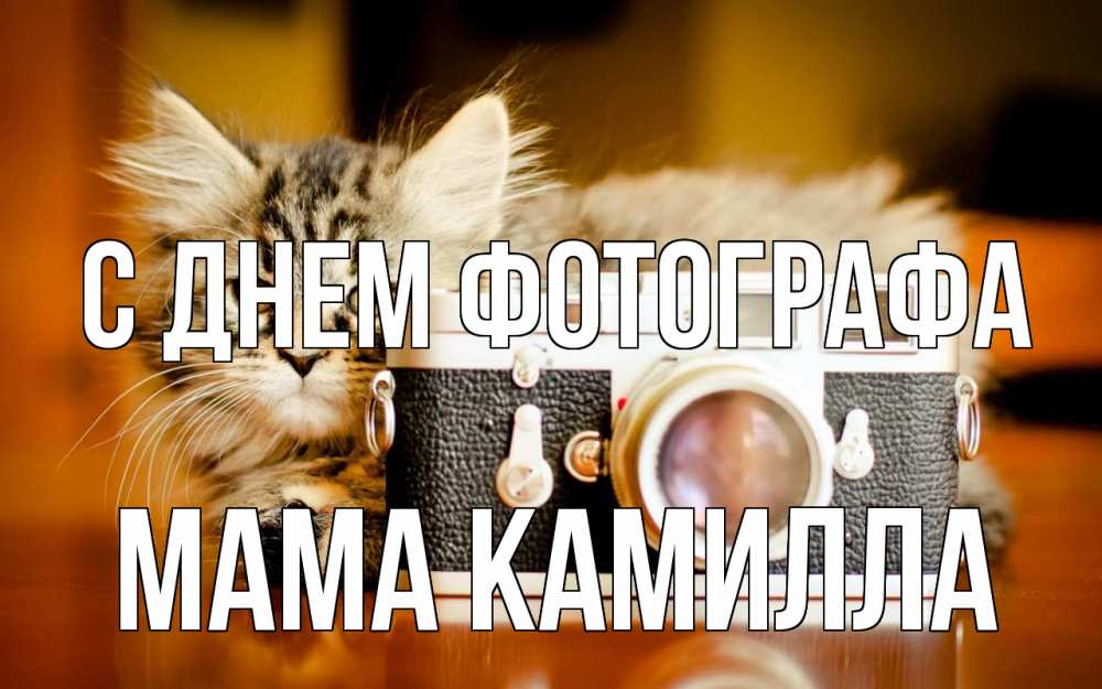 Открытка на каждый день с именем, Мама-Камилла С днем фотографа с днем фотографа Прикольная открытка с пожеланием онлайн скачать бесплатно 