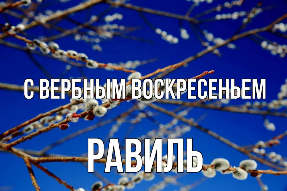Открытка на каждый день с именем, Равиль С вербным воскресеньем верба Прикольная открытка с пожеланием онлайн скачать бесплатно 