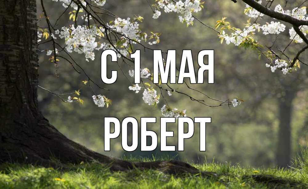 Открытка на каждый день с именем, Роберт С 1 мая С 1 мая Прикольная открытка с пожеланием онлайн скачать бесплатно 