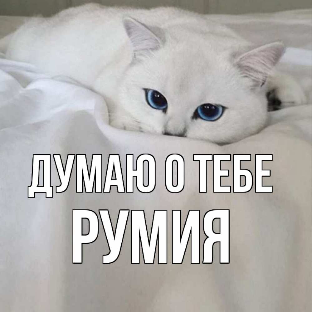Открытка на каждый день с именем, Румия Думаю о тебе я очень по тебе скучаю и тоскую Прикольная открытка с пожеланием онлайн скачать бесплатно 